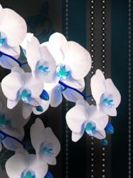 Consalnet Virág minta poszter, fotótapéta, Vlies (206x275 cm, álló) (C1-1301VEA)