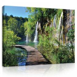 Consalnet Vászonkép, Vízesés az erdőben 80x60 cm méretben (C5-11845O6)