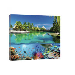 Consalnet Tengeri állatvilág, vászonkép, 60x40 cm méretben (C5-20056O4)