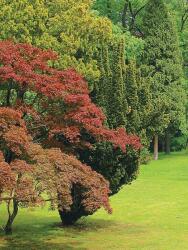 Consalnet Garden poszter, fotótapéta, Vlies (206x275 cm, álló) (C1-4-004VEA)