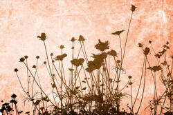 Dimex FLOWER ABSTRACT TEXTURE fotótapéta, poszter, vlies alapanyag, 375x250 cm (MS-5-2008)