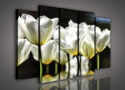 Consalnet Vászonkép, 5 darabos Tulipánok 150x100 cm méretben (C5-585S12)