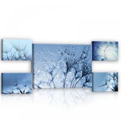 Consalnet Vászonkép, 5 darabos Vízcseppes pitypang variálható elrendezésben (C5-12004S14)