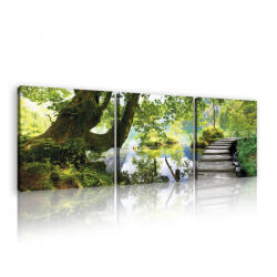 Consalnet Vászonkép 3 darabos, Erdő folyóval, 3 db 25x25 cm méret (C5-11235S13)