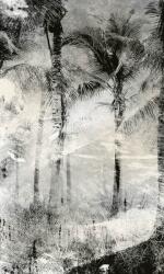 Dimex Pálmafák fotótapéta, poszter, vlies alapanyag, 150x250 cm (MS-2-0374)