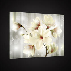 Consalnet Vászonkép, Magnólia, 60x40 cm méretben (C5-2511O4)