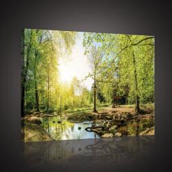 Consalnet Vászonkép, Erdei patak, 100x75 cm méretben (C5-10508O1)