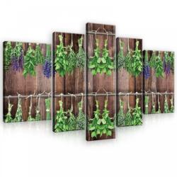 Consalnet Vászonkép, 5 darabos, Növények 170x100 cm méretben (C5-10060S4A)