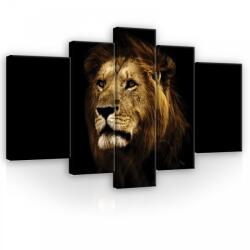 Consalnet Vászonkép, 5 darabos, Oroszlán 170x100 cm méretben (C5-11766S4A)