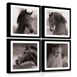 Consalnet Vászonkép 4 darabos, Lovak 50x50 cm méretben (C5-11274S20)