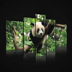 Consalnet Vászonkép, 5 darabos, Panda 170x100 cm méretben (C5-2465S4A)