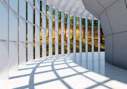 Consalnet Erdő poszter, fotótapéta Vlies (152, 5 x 104 cm) (C1-10056VEL)