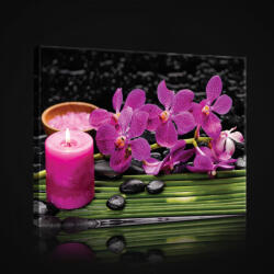Consalnet Vászonkép, Rózsaszín orchidea, 80x60 cm méretben (C5-2464O6)