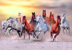 Sverus Fotótapéta Horses Run Gallop in Dust Against Sunset Sky, 400 x 260 cm (SV-62087491WM-400X260CM)
