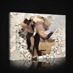 Consalnet Vászonkép, Elefánt, 100x75 cm méretben (C5-2685O1)