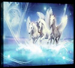 Consalnet Pegazusok, vászonkép, 60x40 cm méretben (C5-20289O4)