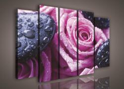 Consalnet Vászonkép, 5 darabos Rózsa 150x100 cm méretben (C5-1083S12)