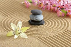 Dimex ZEN GARDEN fotótapéta, poszter, vlies alapanyag, 375x250 cm (MS-5-0117)