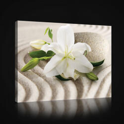 Consalnet Vászonkép, Liliom zen kővel, 80x60 cm méretben (C5-20019O6)