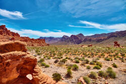 Dimex Vlies Fotótapéta - Beautiful valley - 375x250 cm (MS-5-1666)