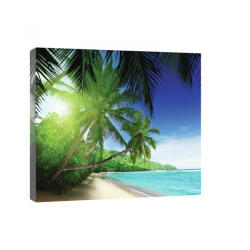 Consalnet Vászonkép, Pálmafás tengerpart 80x60 cm méretben (C5-20040O6)
