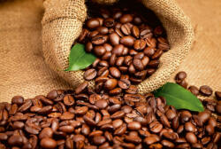 Dimex COFFEE BEANS fotótapéta, poszter, vlies alapanyag, 375x250 cm (MS-5-0244)