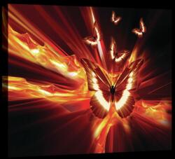 Consalnet Lepkék, vászonkép, 60x40 cm méretben (C5-20292O4)