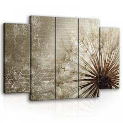 Consalnet Vászonkép, 5 darabos Pitypang design 150x100 cm méretben (C5-11683S12)