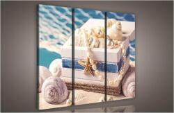 Consalnet Tenger kincsei, 3 darabos vászonkép, 90x80 cm méretben (C5-812S6)