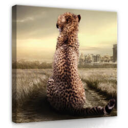 Consalnet Kölyök leopárd, vászonkép, 40x40 cm méretben (C5-12521O5)
