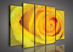 Consalnet Vászonkép, 5 darabos Rózsa 150x100 cm méretben (C5-219S12)