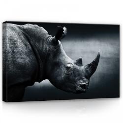 Consalnet Orrszarvú, vászonkép, 60x40 cm méretben (C5-12738O4)