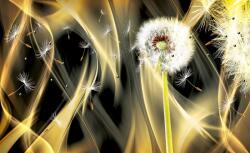 Consalnet Pitypang poszter, fotótapéta Vlies (254 x 184 cm) (C1-2601V4)