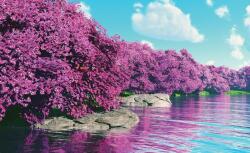 Consalnet Tájkép poszter, fotótapéta, Vlies (104 x 70, 5 cm) (C1-3536VEM)