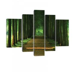 Consalnet Vászonkép, 5 darabos, Fasor 170x100 cm méretben (C5-20005S4A)