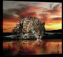 Consalnet Párduc, vászonkép, 60x40 cm méretben (C5-20291O4)