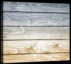 Consalnet Fa minta, vászonkép, 60x40 cm méretben (C5-20153O4)