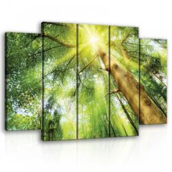 Consalnet Vászonkép, 5 darabos Napsütéses erdő 150x100 cm méretben (C5-10112S12)