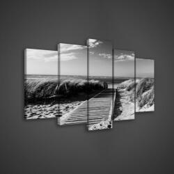 Consalnet Vászonkép 5 darabos, Út a tengerpartra 100x60 cm méretben (C5-982S17)