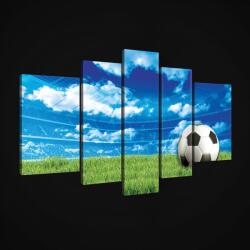 Consalnet Vászonkép, 5 darabos, Focilabda 170x100 cm méretben (C5-20099S4A)