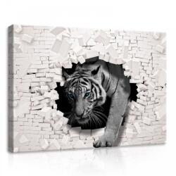 Consalnet Tigris, vászonkép, 70x50 cm méretben (C5-10400O7)