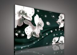 Consalnet Vászonkép, Orchidea zöldes háttéren, 80x60 cm méretben (C5-1648O6)