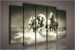 Consalnet Vászonkép, 5 darabos Pegazusok 150x100 cm méretben (C5-1084S12)