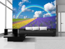 Consalnet Rainbow poszter, fotótapéta, Vlies (416 x 254 cm) (C1-018VEXXXL)
