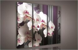 Consalnet Orchidea minta, 3 darabos vászonkép, 90x80 cm méretben (C5-841S6)
