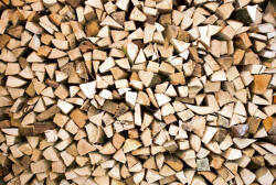 Dimex TIMBER LOGS fotótapéta, poszter, vlies alapanyag, 375x250 cm (MS-5-0161)