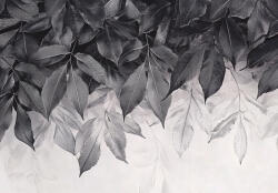 Consalnet Sötétszürke lelógó levelek poszter, fotótapéta, Vlies (100 x 75 cm) (C1-15625VX2)