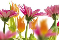 Dimex SPRING FLOWERS fotótapéta, poszter, vlies alapanyag, 375x250 cm (MS-5-0142)