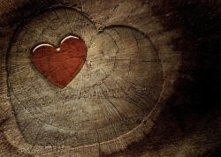 Consalnet Szív poszter, fotótapéta, Vlies (368 x 254 cm) (C1-135V8)