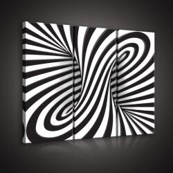 Consalnet Fekete-fehér 3D, 3 darabos vászonkép, 90x80 cm méretben (C5-20191S6)
